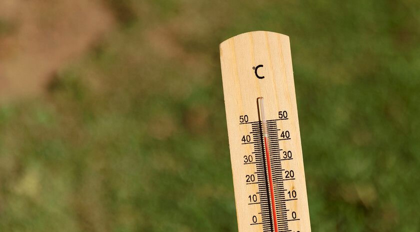 ������ ��� ������ ���� ��������������� ������� � ������ ����������� ���������� ����