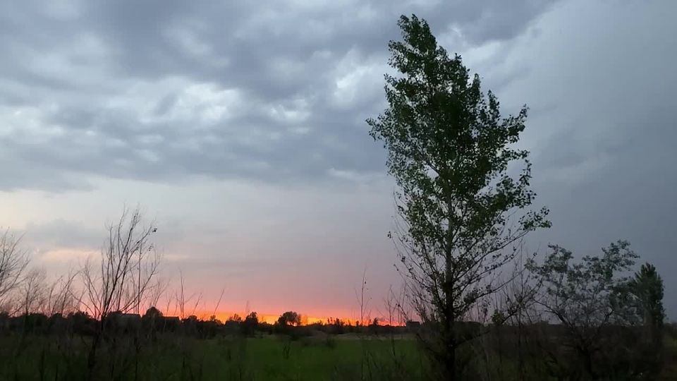 Синоптики прогнозируют 14 июля в ЛНР от 19 градусов тепла ночью до 37 градусов жары днем, местами кратковременный дождь с грозой и сильным ветром — пресс-служба Главного управления МЧС