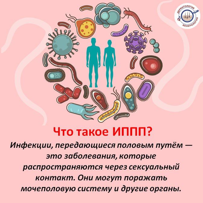 � ������ ������ ������������ ��������, ������������ ������� ���� (����), ������� �������� � 14 �� 20 ���� 2025 ����, �� ����������� �������� ��������