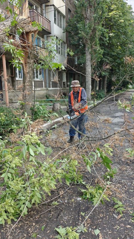 �������� ��������: ������������� � ��������. ������������ ����������� ���������� ���������� ������ � ������ ���� ��������� ����������� ��������� ����