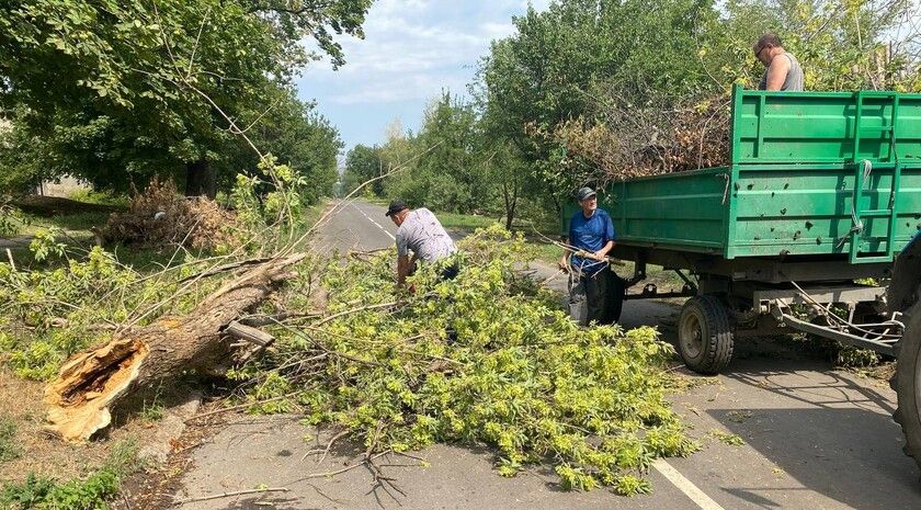 �������� ������ ������� ��������� ����������� �������� � ��������������� ������