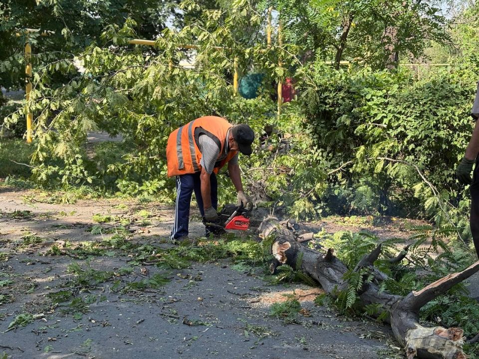 ������ ��������: � ������ ���� ������������� � ��������� ������ ����� ������ �� ���������� ����������� ��������� ������