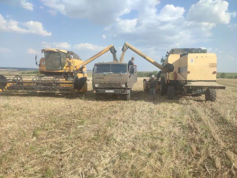 Андрей Рубанцов: В городском округе город Ровеньки стартовала уборочная кампания 2025 года!
