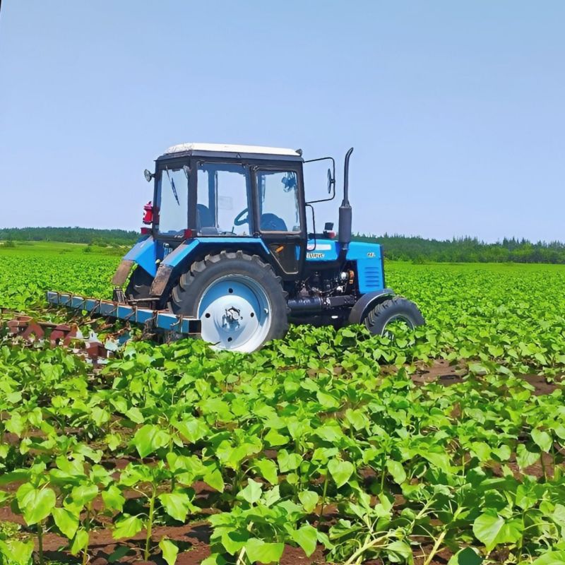 Владимир Чернев: Жаркая пора для аграриев Старобельского муниципального округа