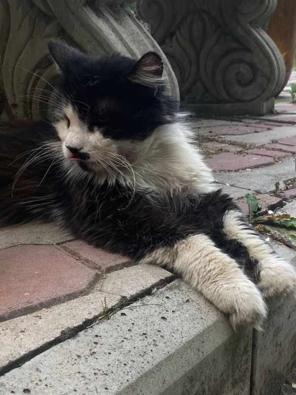 16 июля на территории Луганской Народной Республики прогнозируется переменная облачность