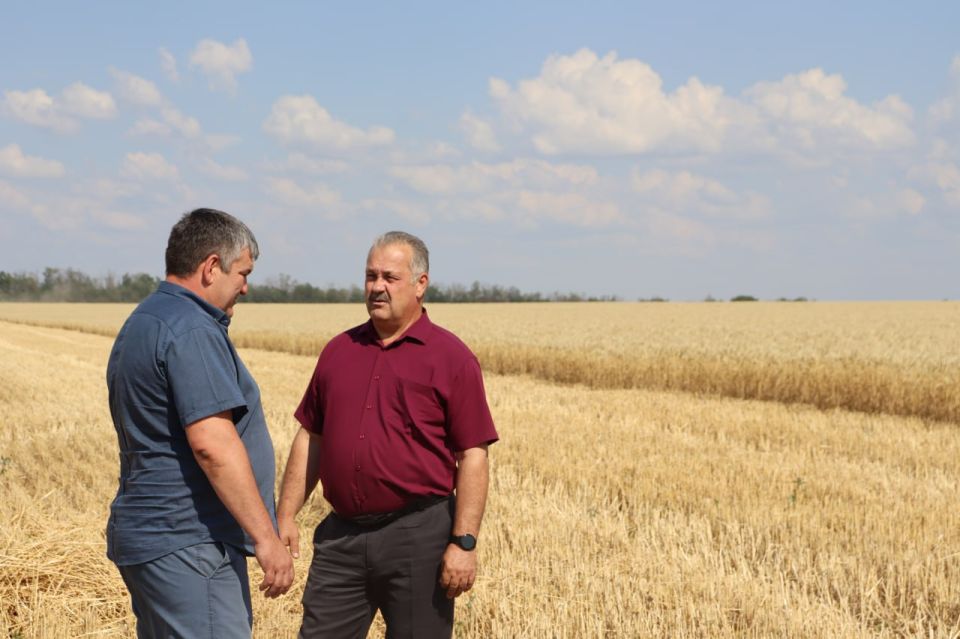 ������ ������: ��������� � ����������� ������ ����������������� �������� ������������� �������� ������� ������������ � ����� ��������� �������� ������ ������� � �������������� ������������� ������