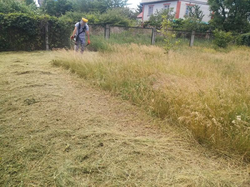 Администрация столицы Республики обращается ко всем луганчанам с просьбой соблюдать Правила благоустройства территории Луганска и поддерживать порядок возле своих домов