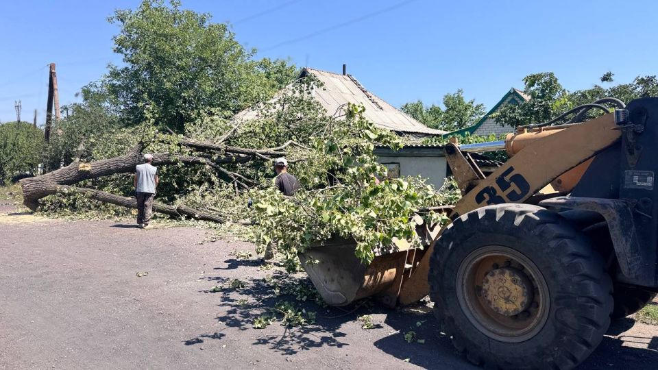 Андрей Рубанцов: В Ровеньках ведутся работы по распиловке упавшего дерева