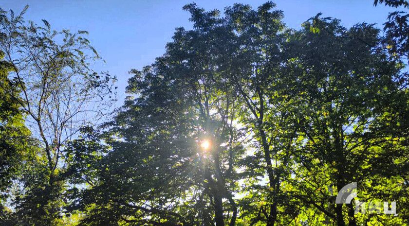 Пульс региона: к некоторым новостям про ЛНР и вокруг нее за 16 июля