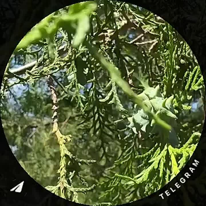 ������� �������� ����� ������� ������������� �������� � ������ � ����� ����� ������� � �������� ��� �����!