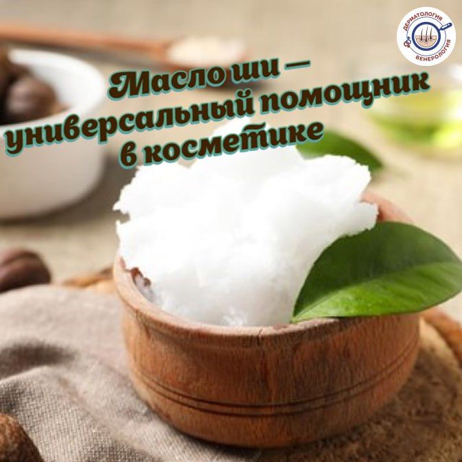 ����� �� � ��������� ��������� � ���� ���������, ��������� ������ ����������� ���������� � ����������������
