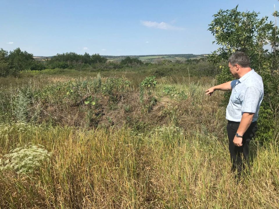 Владимир Чернев: Комиссионные обследования ветеринарно-санитарного состояния захоронений