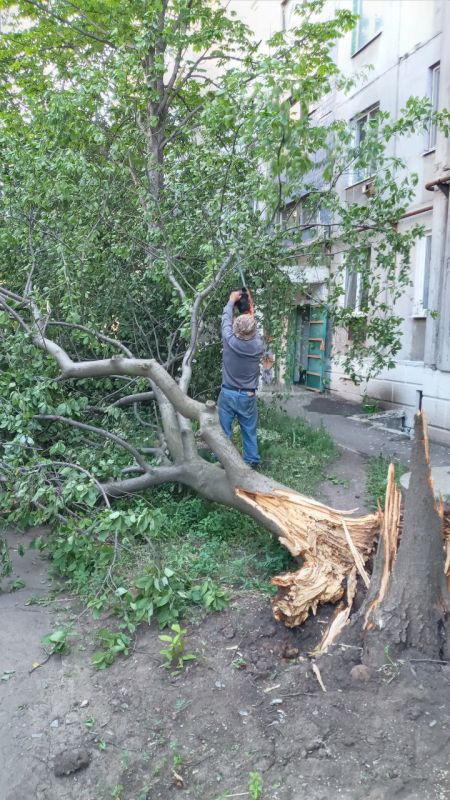 �������� ��������: ������������� � ��������. � �������� ������������ ����� �����, ������� � ���� ��������� ��������