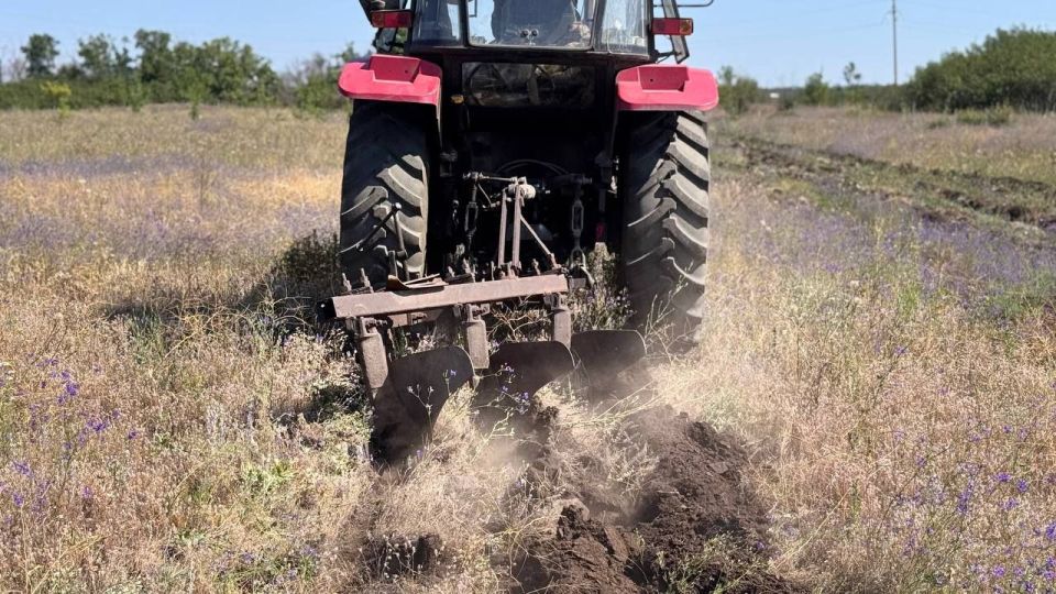 Андрей Рубанцов: В Ровеньках проводятся мероприятия по обеспечению противопожарной безопасности муниципального образования