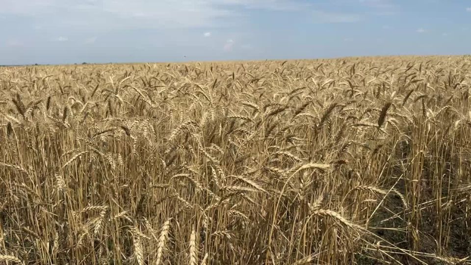 ����� �������������� ����������� � ����� ��������� �������� ������ ������� � ��������������� ������������� ������