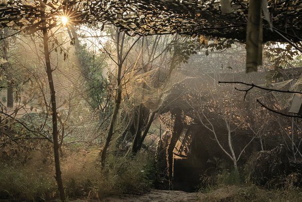 �������: ���� � ������ ���� �� ���������� ���� �������� � ����� � ���