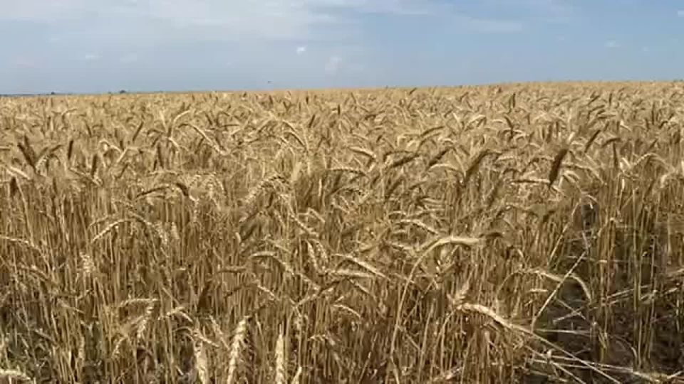 ������ ����������: � ������ ������� �������, ����������� � ����� ��������� �������� ������ � ������ ������� � ��������������� ������������� ������