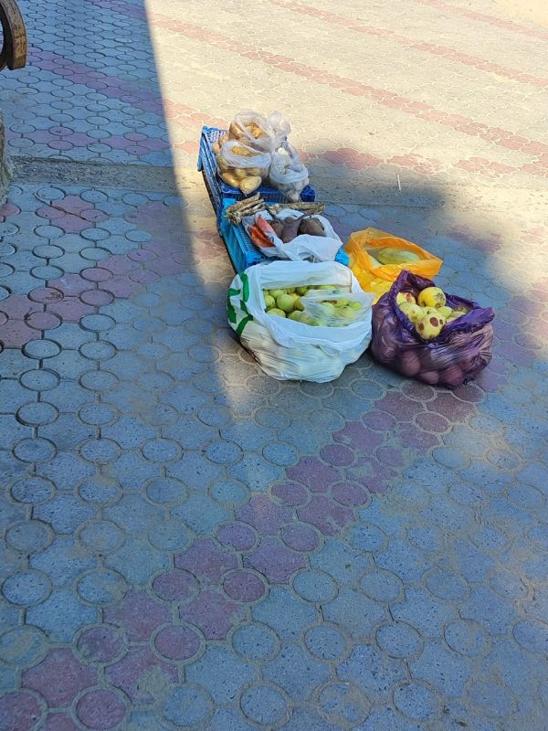 Владимир Чернев: Проведено совместное профилактическое мероприятие с участием сотрудников Администрации Старобельского муниципального округа и представителей ОМВД России "Старобельский"