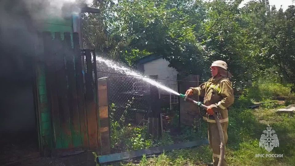 ��������� ��������: ������ ���
