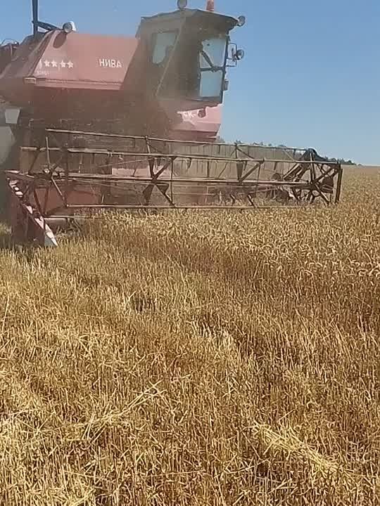 Аграрии Старобельского округа уверенно наращивают темпы уборочной кампании 2025 года