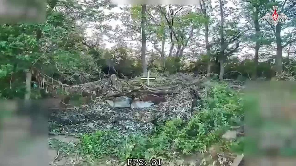 �������� �� �����������. ����������� ������ ��������� �������� �������, ������� �����, �������, �������� ����������������� ���������, ������ ��������� ���������� ��� � ���� ����������