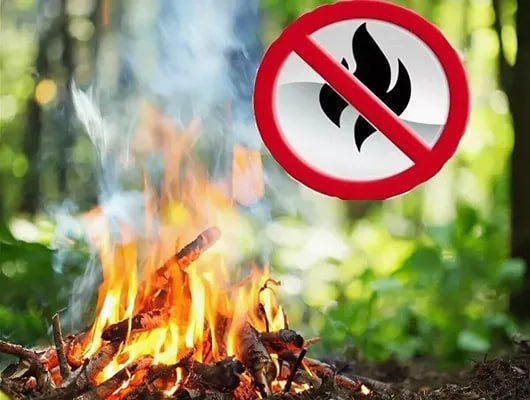 В городе Рубежное действует противопожарный режим