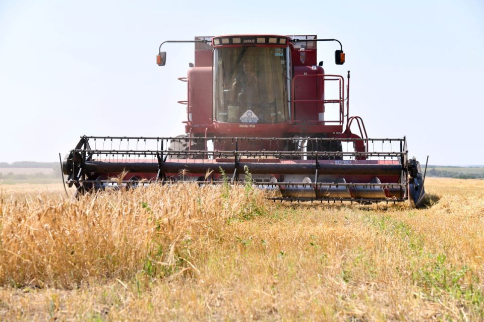 ������ �������: � ���� ���� �������� �� ������ ������ �������� �������� � �������� ������������� ������, ��� ��������� ������������ �� ������� ����������