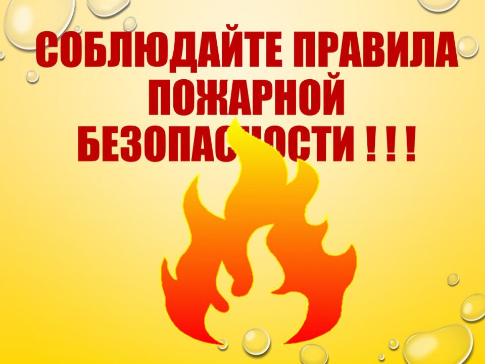 � ���� ���� ������� ���������� ����
