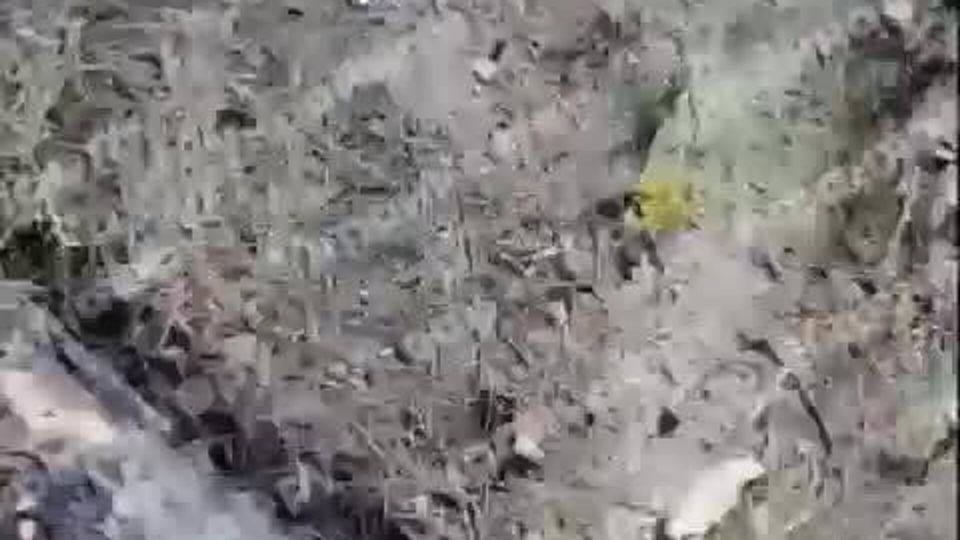 ��� ���������� �������� �������� � ������� 53-� ������� ��� �� ������������� ����������� (���)