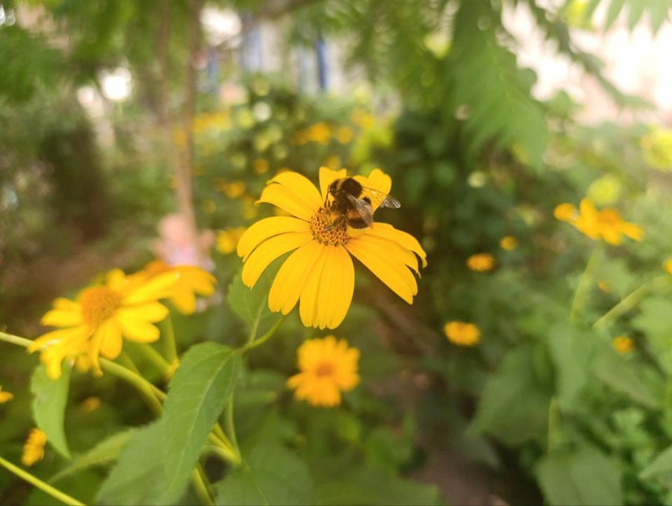 Мы продолжаем показывать подборку о живописных местах нашего города Рубежное