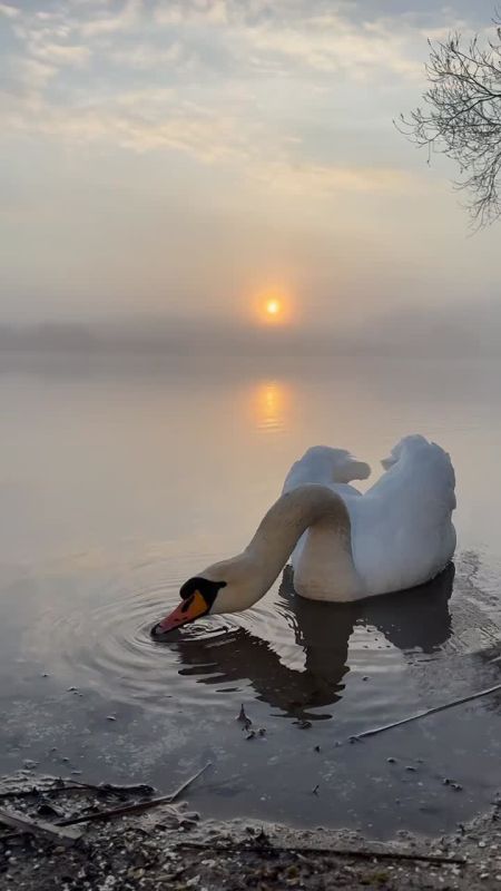 Прекрасного утра