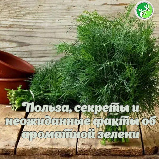� ������� �� �������!. � ����� �������� ����� � ��� �������������� �����, ��� �������� �������� ������� �� ����� ������ � �������