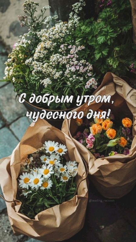 � ������ �����, ������������� �����!