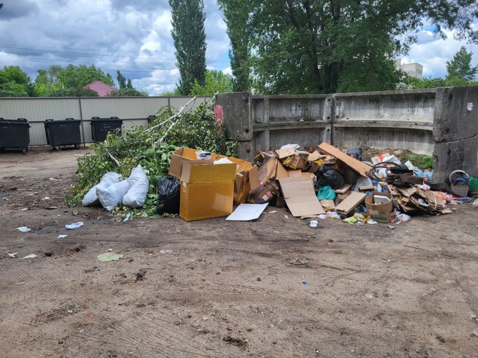 С 2025 года в России ужесточат ответственность за выброс мусора в неположенных местах!