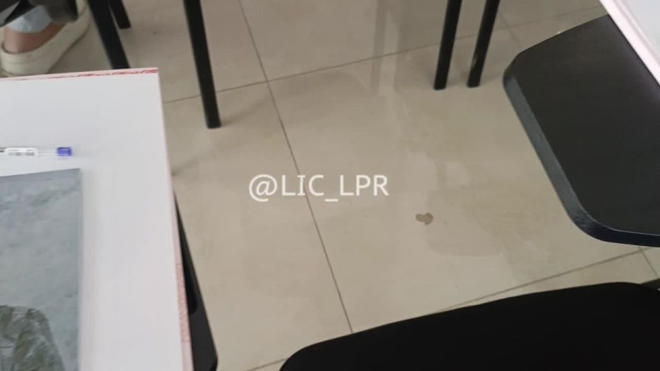 ������������� ������������ �������� ��� ��������� � ������� ����������� ���������� ������� ��������� ������ �� ������ ������������ �������-������������ ���������, �������� � ������������ ������