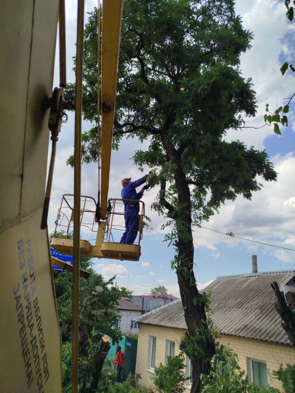 Специалисты МБУ "Центр благоустройства" активно проводят работы по обращениям жителей нашего округа, касающимся обрезки аварийных деревьев