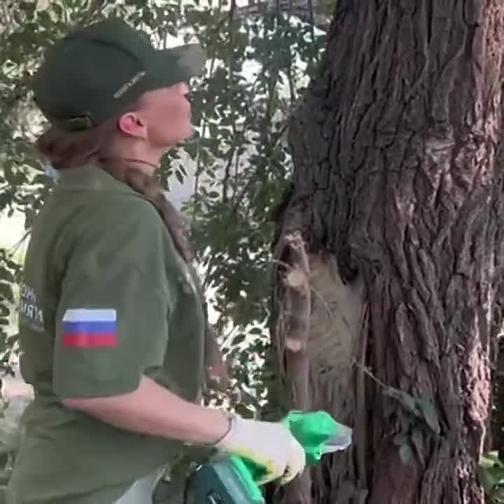 �� ������������� � ������ �����, ������ ������ �����������