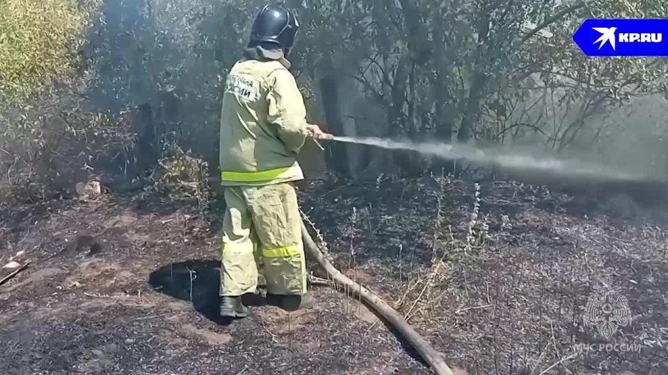 Более 45 гектаров сухой растительности выгорело в ЛНР за сутки