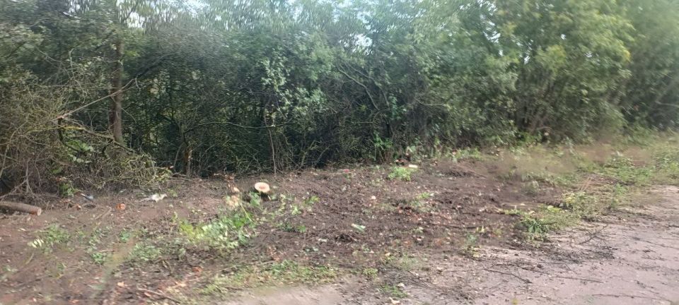 Владимир Чернев: Жители села Проказино провели очистку обочины вдоль дороги