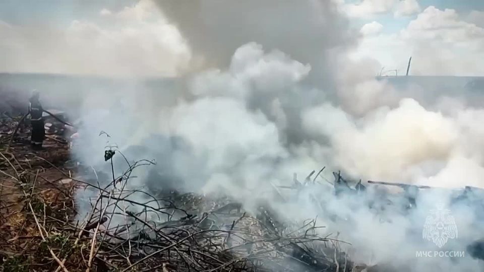 25 пожаров за минувшие сутки ликвидировали на территории Республики, 21 из которых произошли на открытых территориях, сообщили в МЧС РФ по ЛНР