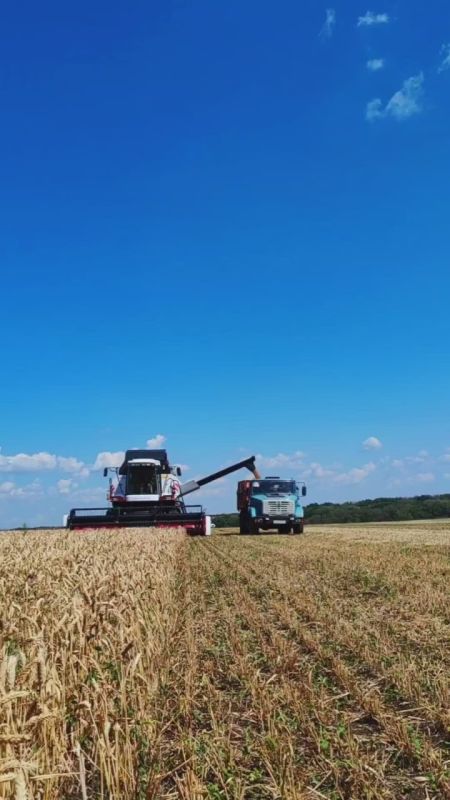 ������� �������: �� ��, ��� �������� ������� � ����� ������ ������ ����� �������� ����������