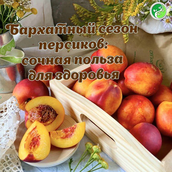 ����� �� ��������� ���������� ���������, �������� ������� � ���� �������� � ���� ����� �������� � ������� ����
