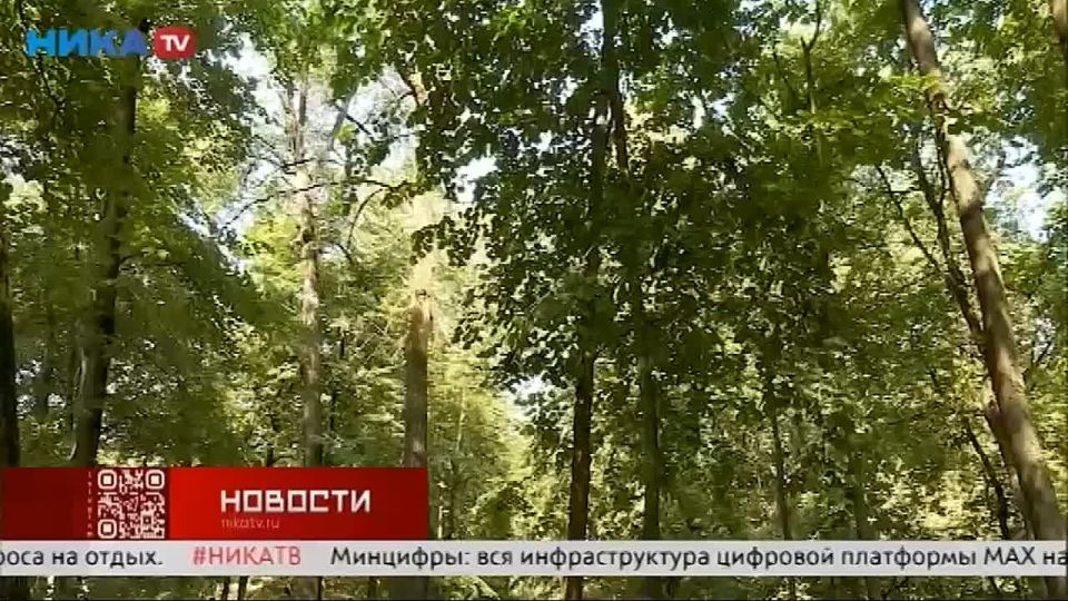 ����� �� ���-������� ���������� ������������� �� ������ � �����������