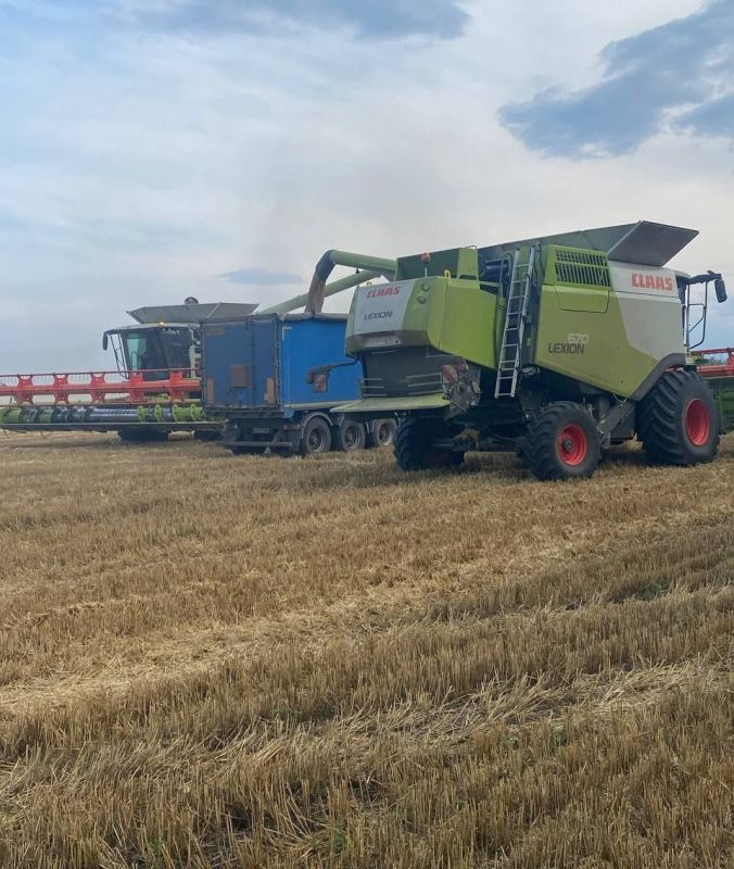 Владимир Чернев: Аграрии Старобельского муниципального округа активно продолжают уборочную кампанию зерновых культур 2025 года