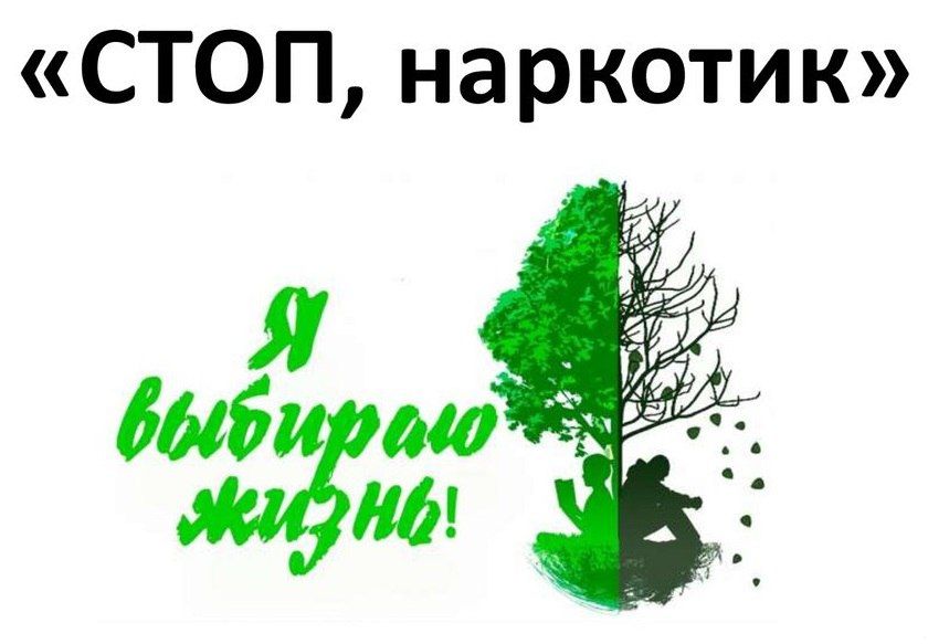 Употребление наркотических и психотропных веществ пагубно влияет на организм человека и может привести к необратимым последствиям