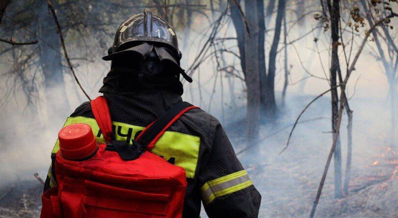 Чрезвычайная пожароопасность — 5-й класс — ожидается в центральных районах ЛНР с 24 по 25 июля