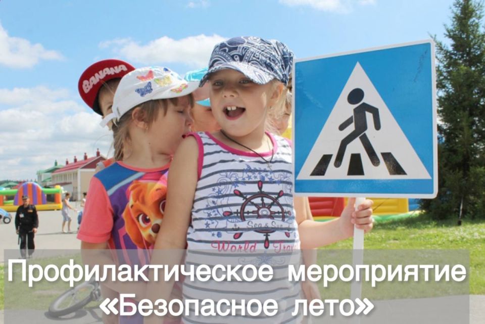 Владимир Чернев: Оперативно-профилактическое мероприятие «Безопасное лето!»