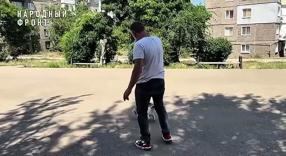 Земский специалист в ЛНР: Успехи проекта и вдохновляющий опыт общения с учителем из Тюмени