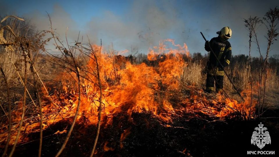 Спасатели Республики на минувших сутках ликвидировали 29 пожаров в экосистеме