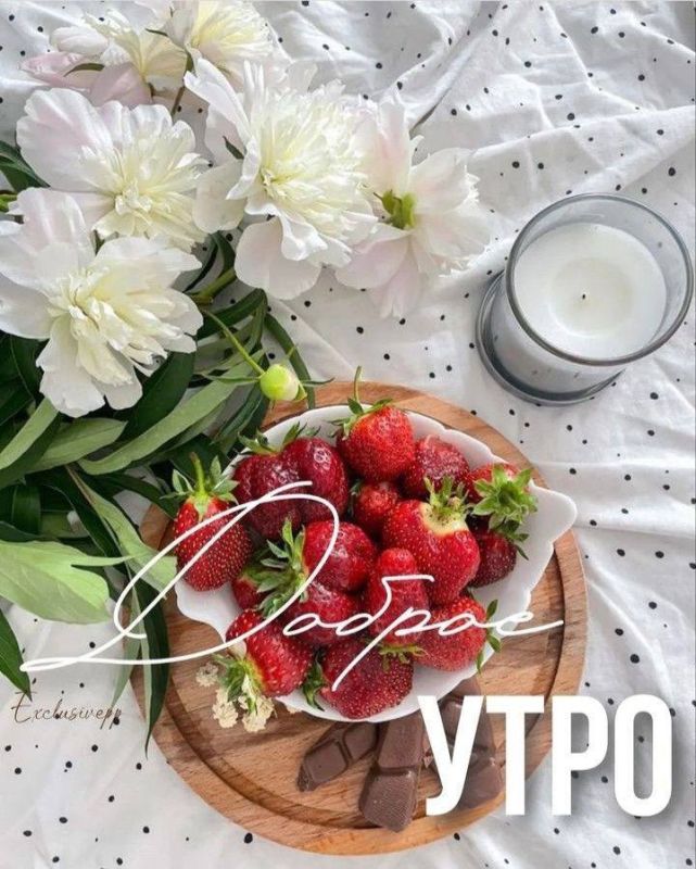 ������ ����